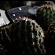 Illustration for article titled How To Find The Perfect Pocket Knife